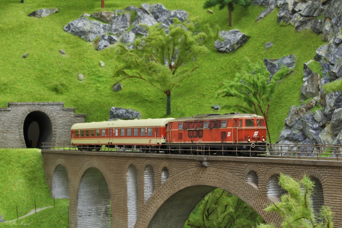 Als Ersatz für einen defekten 5081 fuhr im September 1985 die 2143.06 mit einem Mitteleinstiegswagen als Personenzug von Ganschenberg nach Steinbach und überquert hier den Dösenklammviadukt am Steinbacher Sattel.