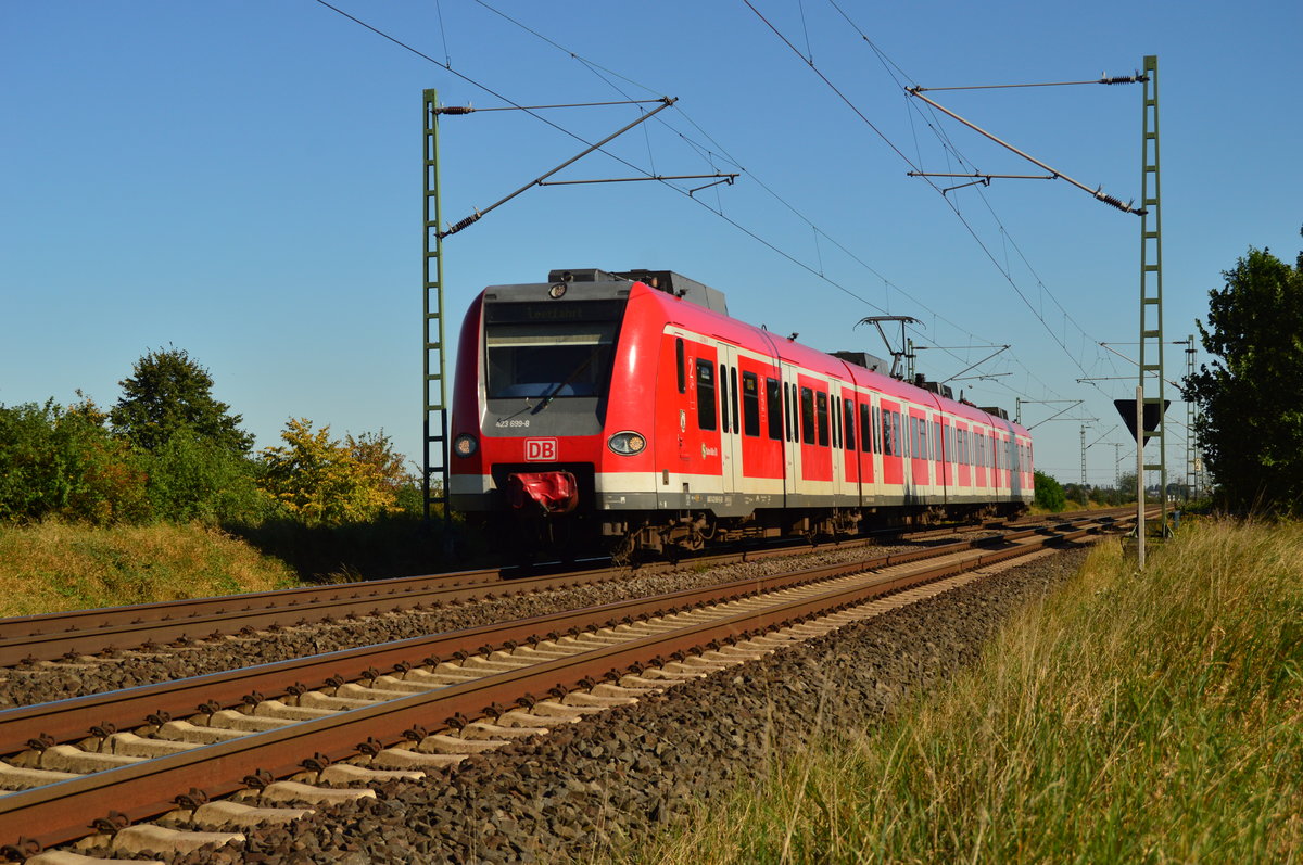 Als Leerfahrt deklariert donnert hier der 423 699 an Hermann-Josef und mir vorbei gen Neuss, als er am Mittwochnachmittag Allerheiligen erreicht. 24.8.2016