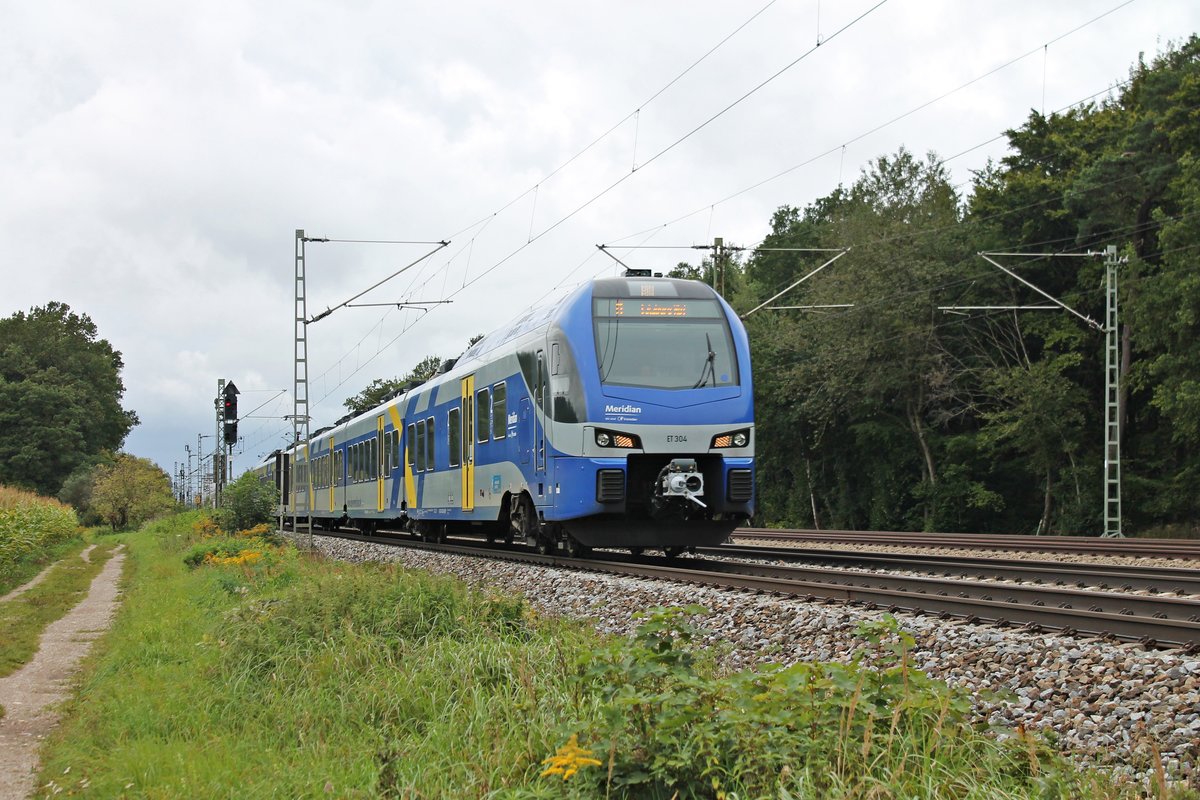 Als Meridian (München Hbf - Salzburg Hbf) fuhr am 12.09.2017 der ET 304 (1430 504-9) südlich von Zorneding gen Eglharting. 