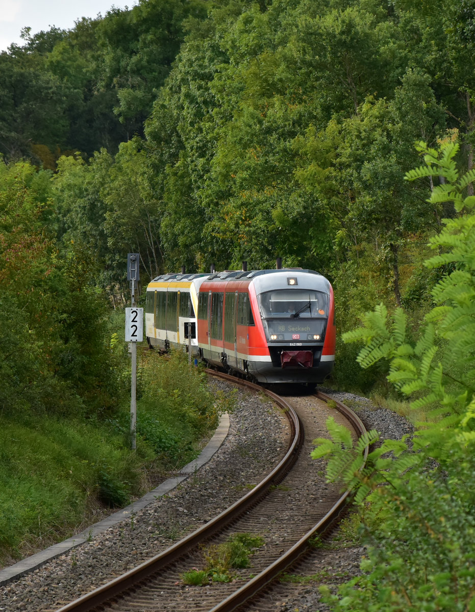 Als RB von Miltenberg kommend ist hier der Triebwagenzug bestehend aus 642 060 und dem mit Löwentaktwerbung versehenem 642 006 unweit von Seckach fotografierte Zug zu sehen am Samstag den zweiten September 2017.