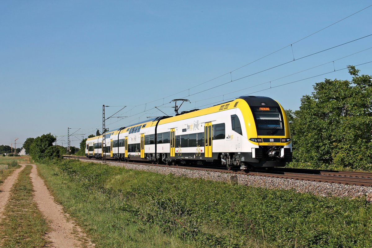 Als RB (Müllheim (Baden) - Freiburg (Brswg) Hbf) fuhr am Morgen des 02.06.2020 der Freiburger 1462 003-3 bei Hügelheim über die Rheintalbahn in Richtung Buggingen.