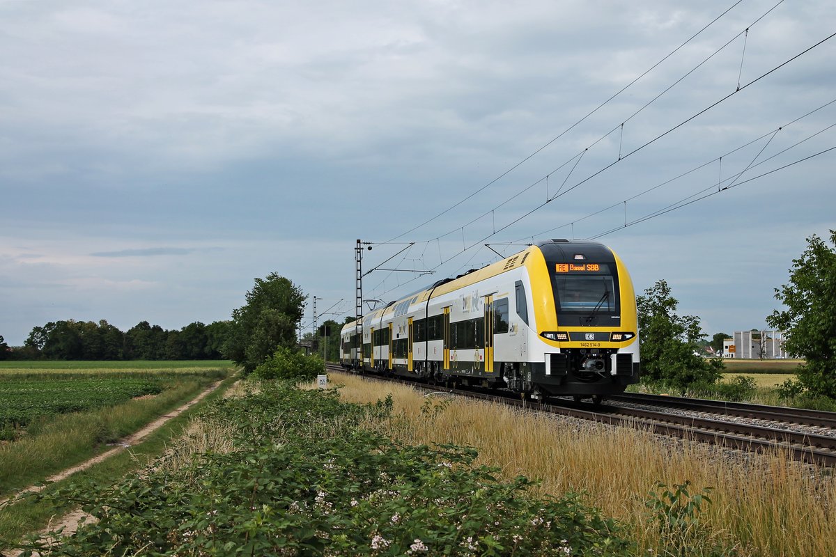 Als RE (Offenburg - Basel SBB) fuhr am späten Nachmittag des 15.06.2020 der 1462 514-9 südlich von Buggingen über die KBS 702 (Rheintalbahn) durchs Makrgräflerland in Richtung Müllheim (Baden), wo der nächsten Zwischenhalt eingelegt wird.