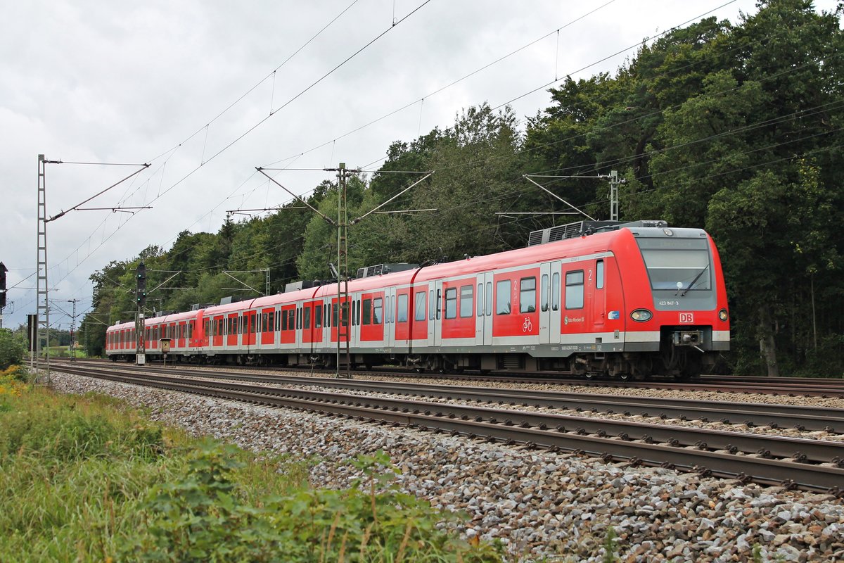 Als S4 (Geltendorf - Ebersberg) fuhr am 12.09.2017 der 423 847-3 zusammen mit 423 146-0 südlich von Zorneding in Richtung Eglharting.