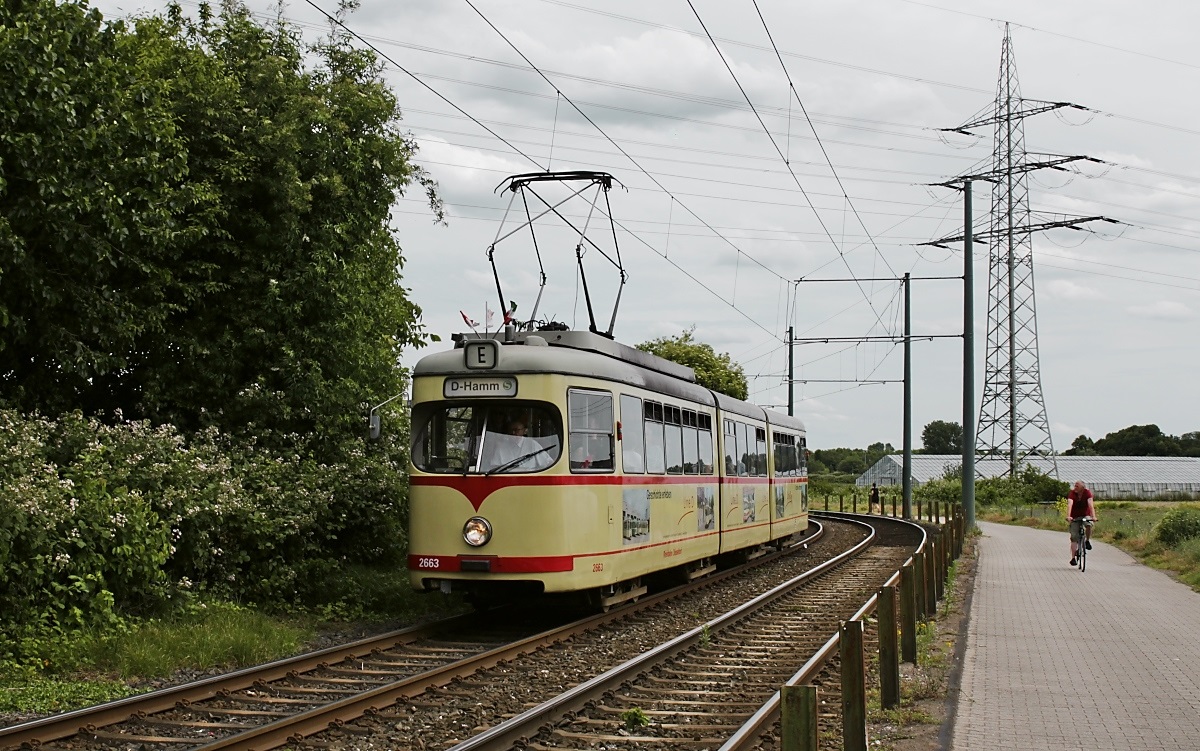 Als Zubringer zu den Feierlichkeiten anlässlich des 625-jährigen Geburtstages von Düsseldorf-Hamm wurde auch der GT8 2663 eingesetzt, hier kurz vor seinem Ziel am 09.06.2019 