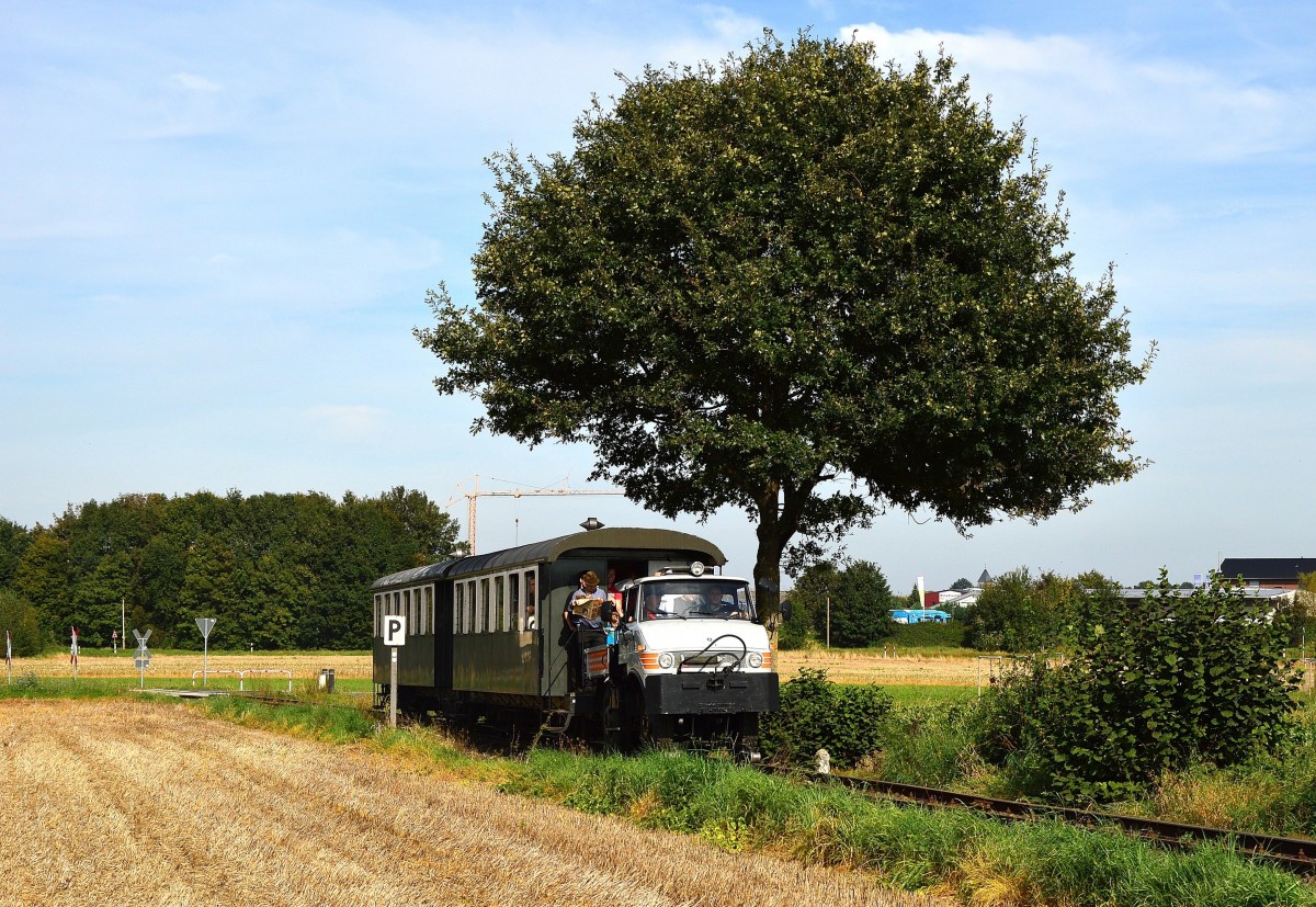 Als ZUG-Maschine eines Personenzuges ist am Sonntag der UNIMOG der Selfkantbahn zwischen Birgden und Gelindchen von mir abgelichtet worden. 28.9.2014