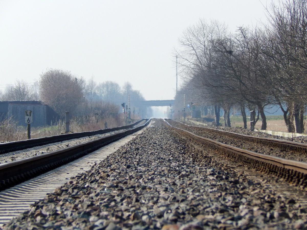 Alt neben neu. Man sieht sehr schön wie eben das links noch rechts neue Gleis ist während das alte Gleis rechts wie eine kleine Hügellandschaft wirkt.

Kapellen 10.03.2016