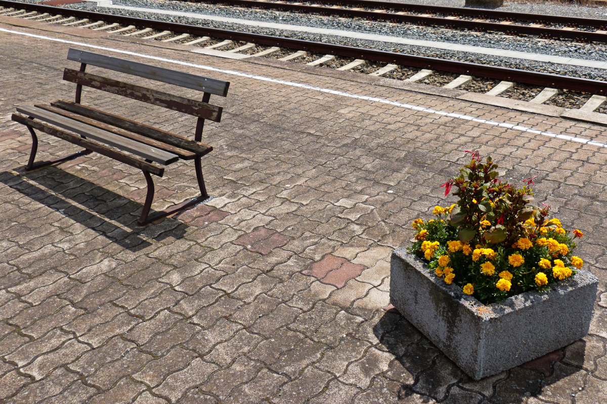 Alte Holzbank und bepflanzter Betonblumenkübel. Diesen idyllischen Charme findet man dank kalter Sanierung kaum an Bahnhöfen. Gesehen am Bahnhof Bleicherode Ost 15.07.2015