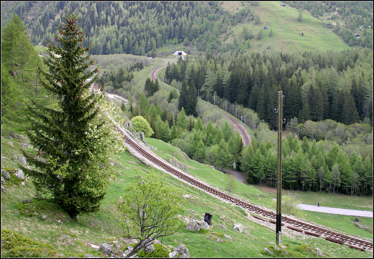Alte und neue Furka-Strecken -

Nicht immer kommt gerade günstiger weise ein Zug durch, wenn man auf einer Wanderung einen schönen Fotostandpunkt findet. 

Hier ein Blick auf die alte, zur Zeit der Aufnahme im Wiederaufbau befindliche Furka-Bergstrecke mit der neueren durch den über 15 Kilometer langen Furka-Basistunnel (Westportal oben in Bildmitte) verlaufende Strecke, die 1982 eröffnet wurde. So konnte die Verbindung zwischen dem Rhonetal (Wallis) und Andermatt (Uri) auch im Winter betrieben werden. Unter verschwindet die neue Strecke nochmals in einen Tunnel um kurz vor dem Bahnhof Oberwald wieder ans Tageslicht zu kommen. Wohl gibt es einen vorbereiteten Abzweig in Tunnelmitte in Richtung Tessin, der nie ausgebaut wurde.

Die lange Fahrt durch den Tunnel empfand ich eher als unangenehm und wenn ich mich recht erinnere gibt es auch Zugbegegnungen im Tunnel auf einem kurzen zweigleisigen Abschnitt, oder irre ich da?

20.05.2008 (M)