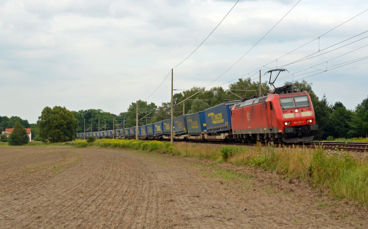 Am 01.08.14 rollte 185 135 mit einem Zug des kombinierten Verkehrs aus Richtung Wittenberg kommend durch Burgkemnitz gen Bitterfeld.