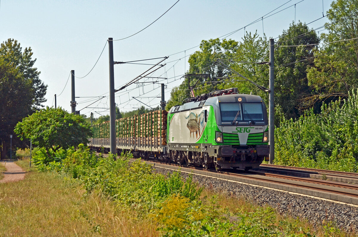 Am 01.09.24 schleppte 193 693 der SETG einen langen Holzzug durch Brehna Richtung Bitterfeld.