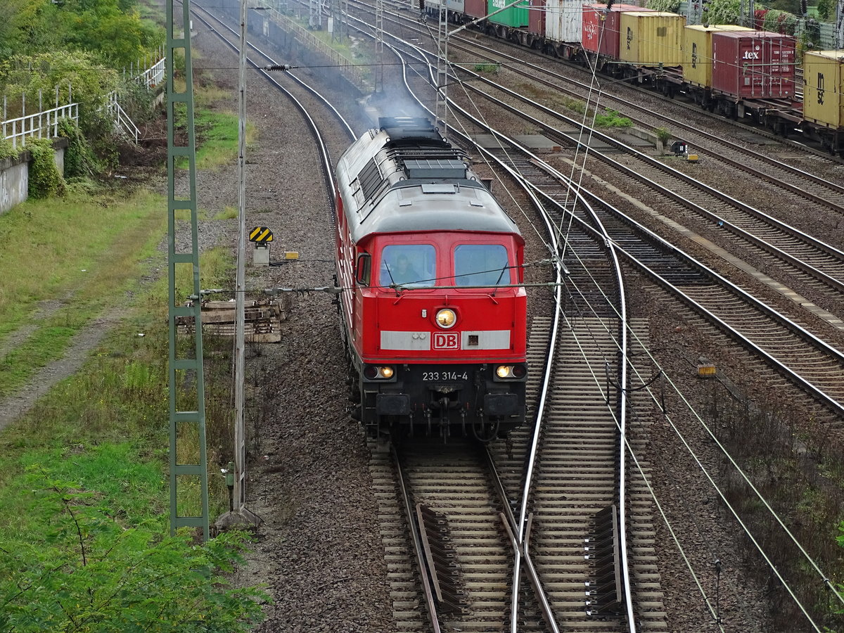 Am 01.10.2017 fuhr die 233 314 von Stendal in Richtung Magdeburg.