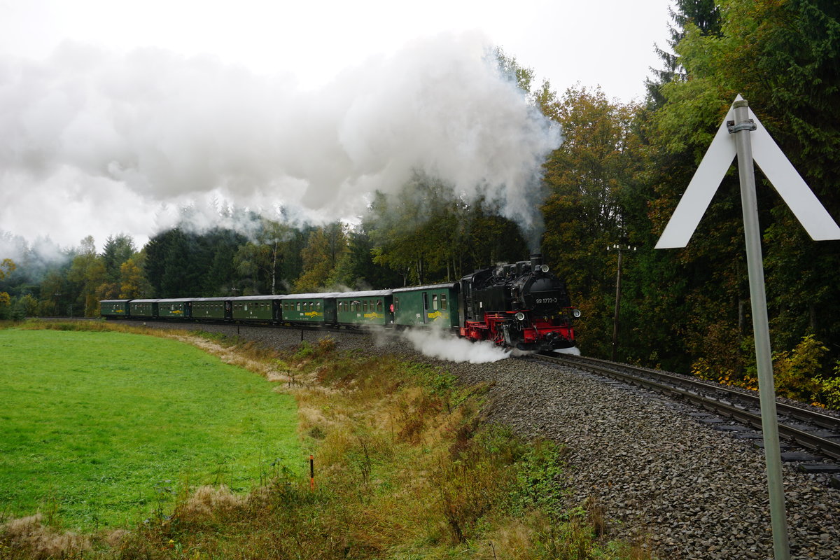 Am 01.10.2017 nimmt 99 1773 mit ihren Personenzug die Steigung nach dem Hp. Kretscham Rothenshema in Richtung Oberwiesenthal.