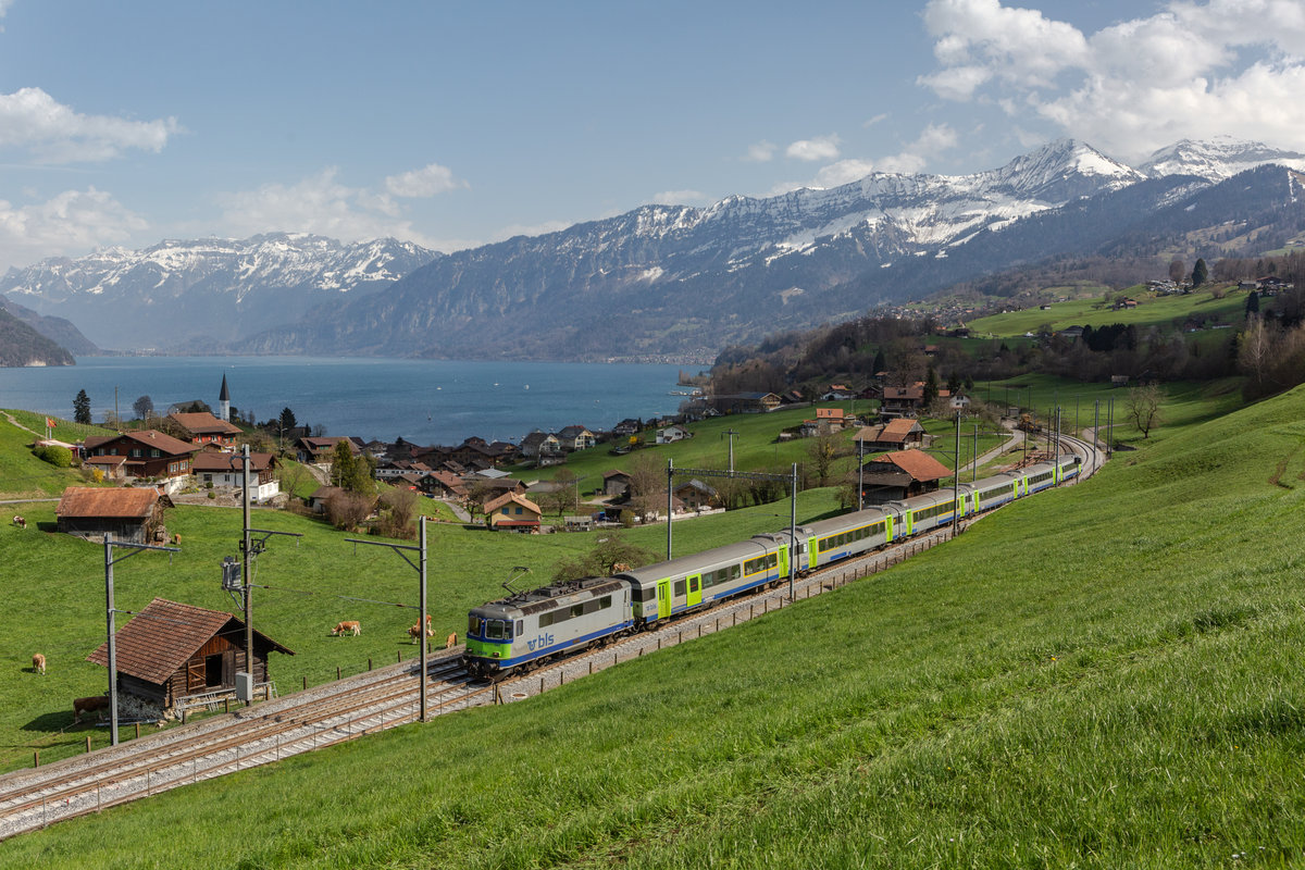 Am 02.04.2021 ist BLS Re 420.5 502 mit einem EW III Pendelzug von Interlaken Ost nach Zweisimmen unterwegs und konnte in Faulensee BE aufgenommen werden.
