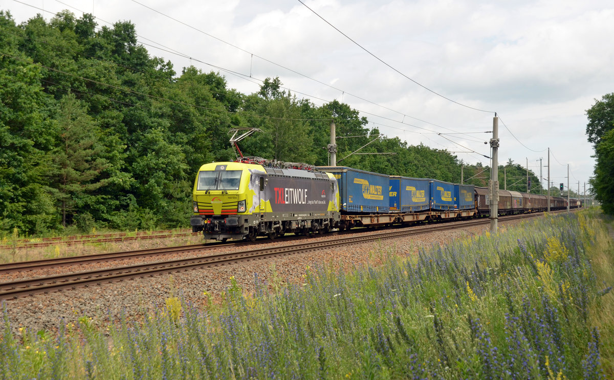 Am 02.07.17 führte der Leitwolf der TX 193 554 den Papierzug aus Rostock durch Burgkemnitz Richtung Bitterfeld.