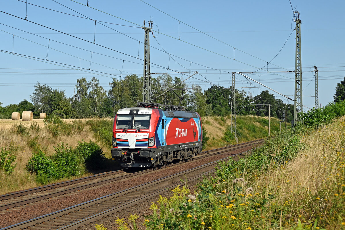 Am 02.08.26 rollte 1293 203 der CT-Train Lz durch Wurzen Richtung Leipig.