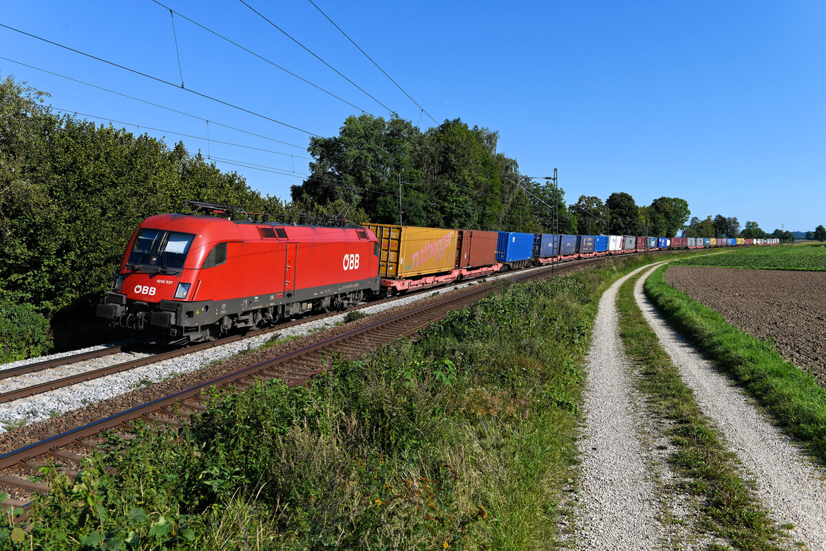 Am 03. September 2021 beförderte der ÖBB-Taurus 1016.037 den KLV-Zug DGS 41126 nach Neuss Hessentor. Bei Langenisarhofen konnte ich den Zug in seiner kompletten Länge aufnehmen.
