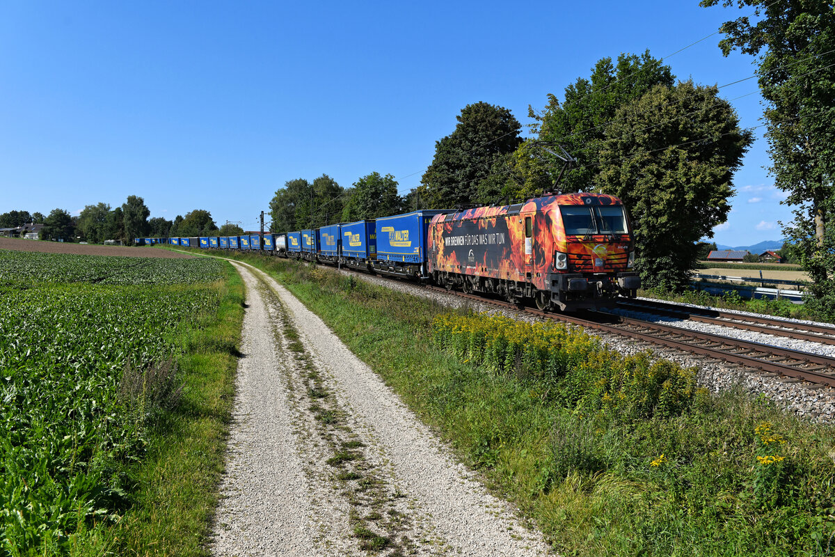 Am 03. September 2021 bespannte die für TXL im Einsatz stehende 193 878 von MRCE den KLV-Zug DGS 43949 auf seiner Fahrt von Wanne-Eickel nach Wien Freudenau Hafen. Bei Langenisarhofen konnte ich die den Vectron mit seinem auffälligen Flammen-Design fotografieren, welches auf die hohe Leistungsbereitschaft der Mitarbeiter von TXLogistik hinweisen soll. Bei den Fotografen erfreut sich die Lok zumindest hoher Beliebtheit.