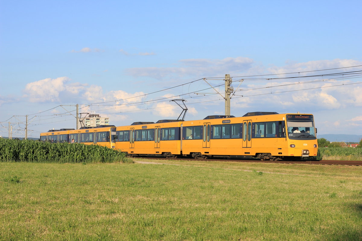 AM 03.07.2017 verkehrt eine Doppeltraktion DT 8.10 als U7 Nellingen-Mönchfeld zwischen Technischer Akademie und Scharnhauser Park. 