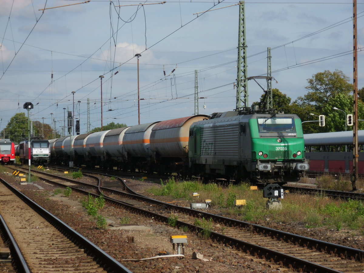 Am 03.09.2016 kam die 37038 mit einem Kesselzug aus Richtung Magdeburg nach Stendal und fuhr weiter in Richtung Salzwedel.