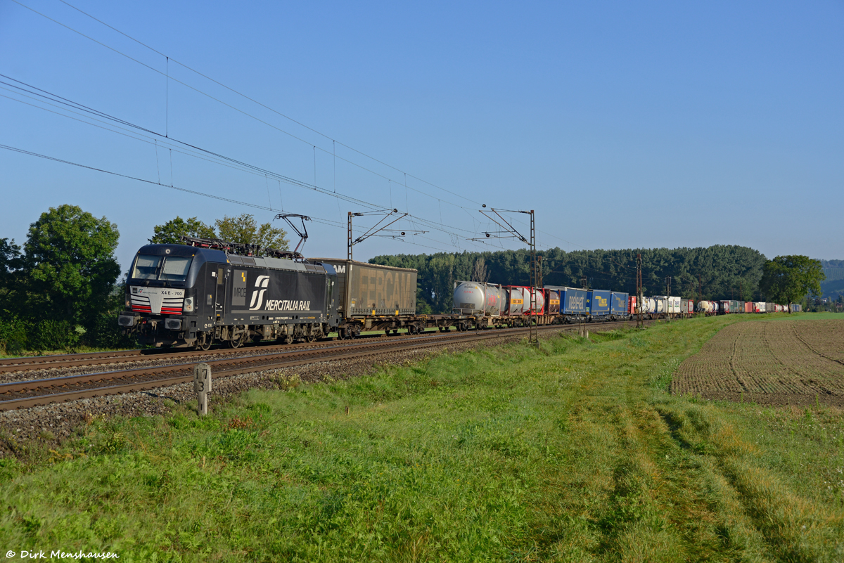 Am 04.09.2021 begegnete uns im Maintal bei Retzbach-Zellingen 193 700 (Mercitalia Rail) auf dem Weg nach Süden.