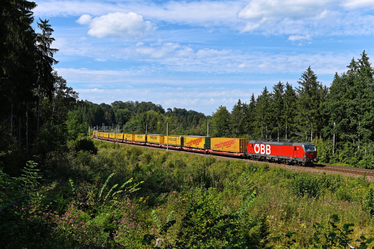 Am 05. September 2020 war die 1293.042 vor dem DGS 42171 von Kassel nach Verona Q.E. im Einsatz, der praktisch ausschließlich von den Speditionen nothegger und Frölich genutzt wird. Im Waldstück zwischen Grafing Bahnhof und Aßling konnte ich die Leistung fotografieren. 
