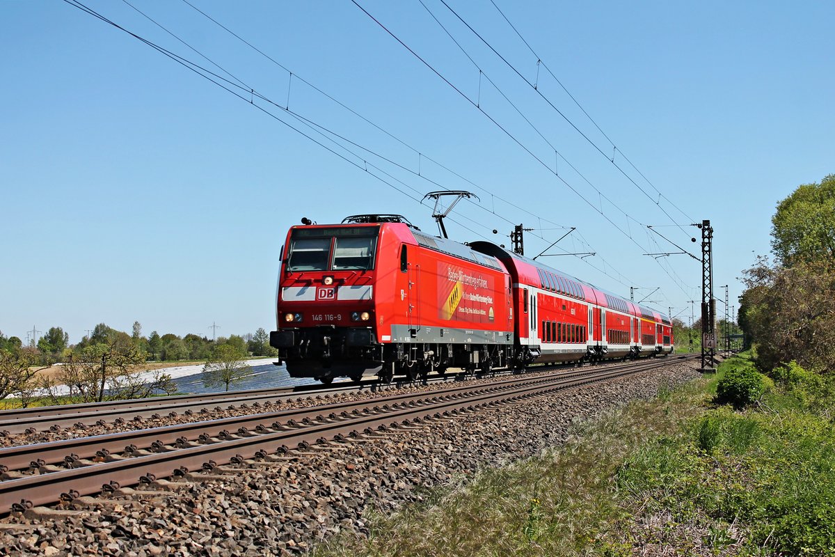 Am 05.05.2016 fuhr 146 116-9  Baden Württemberg erfahren/Landkreis Lörrach  mit ihrem RE (Offenburg - Basel Bad Bf) bei Scherzingen in Richtung Bad Krozingen.