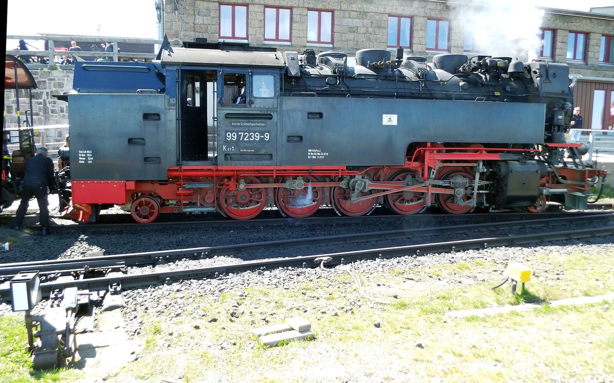  Am 05.05.2018 ist 99 7239 gegen 14:30 grad mit ihrem Zug auf dem Brocken angekommen.
Betrachtet man ihr Fahrwerk, fällt auf, das es mt Blütenstaub belegt ist. Eine doch eher seltene Farbgebung.