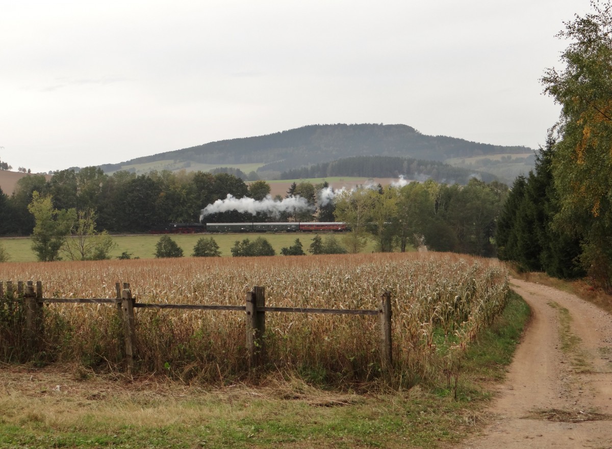 Am 05.10.13 fuhr die Erzgebirgische Aussichtsbahn wieder von Schwarzenberg nach Annaberg und zurck. Heute mit 50 3616 hier bei der Ausfahrt in Walthersdorf. 
