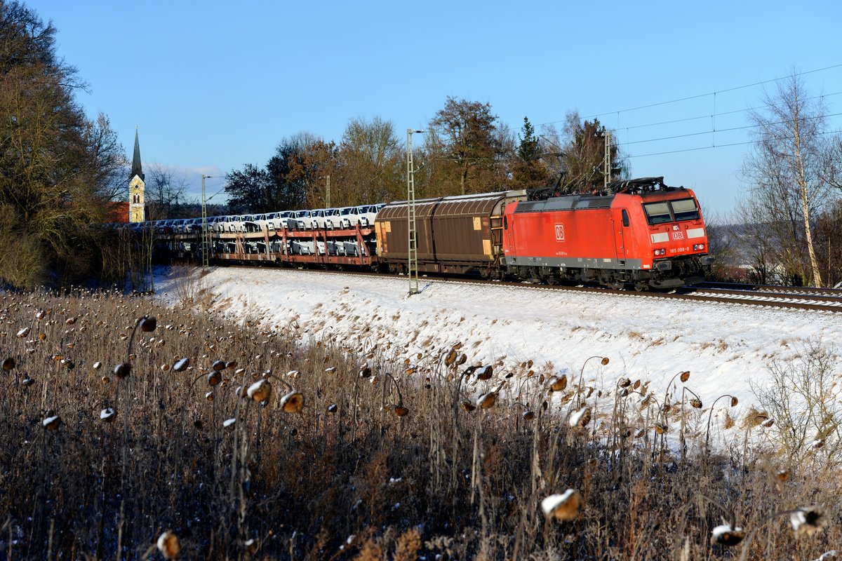 Am 06. Januar 2017 brachte die 185 099 den nachmittäglichen EZ 51733 von Nürnberg Rangierbahnhof nach München Nord. Bei Fahlenbach passierte der gemischte Güterzug ein nicht abgeerntetes Sonnenblumenfeld.