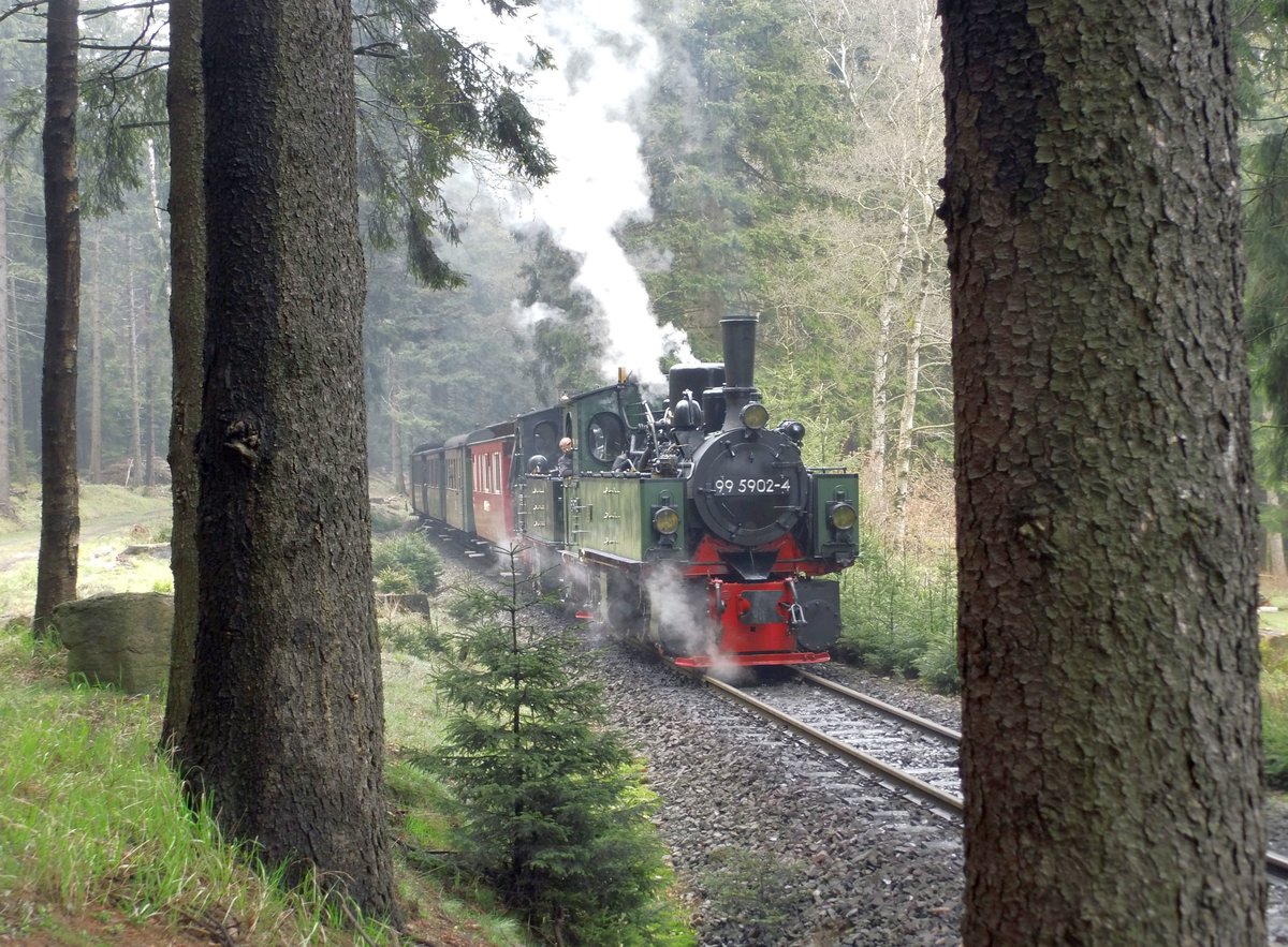 Am 06.08. 2017 war die Rangiererei in Schierke zur Hälfte erledigt, 99 5902 und 99 5901 warten entspannt im Wald auf die Ausfahrt des Planzuges, um dann in Gleis 1 einzufahren. 