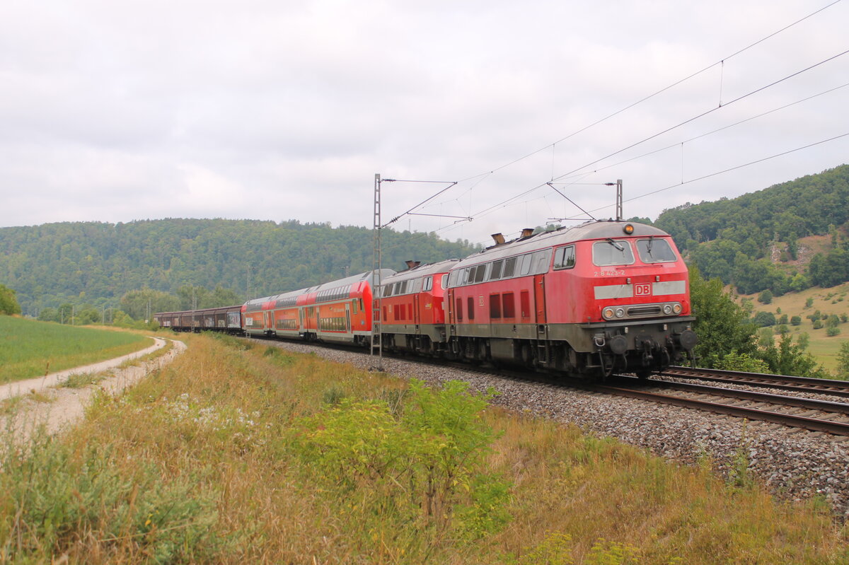 Am 06.08.2022 war der BR-Radltourzug auf der Rückfahrt von Gunzenhausen nach Mühldorf. Der Zug bestand aus 2 x 218 Doppelstockwagen und hinten die Güterwagen für die Fahrräder. Hier im Altmühltal bei Obereichstätt.