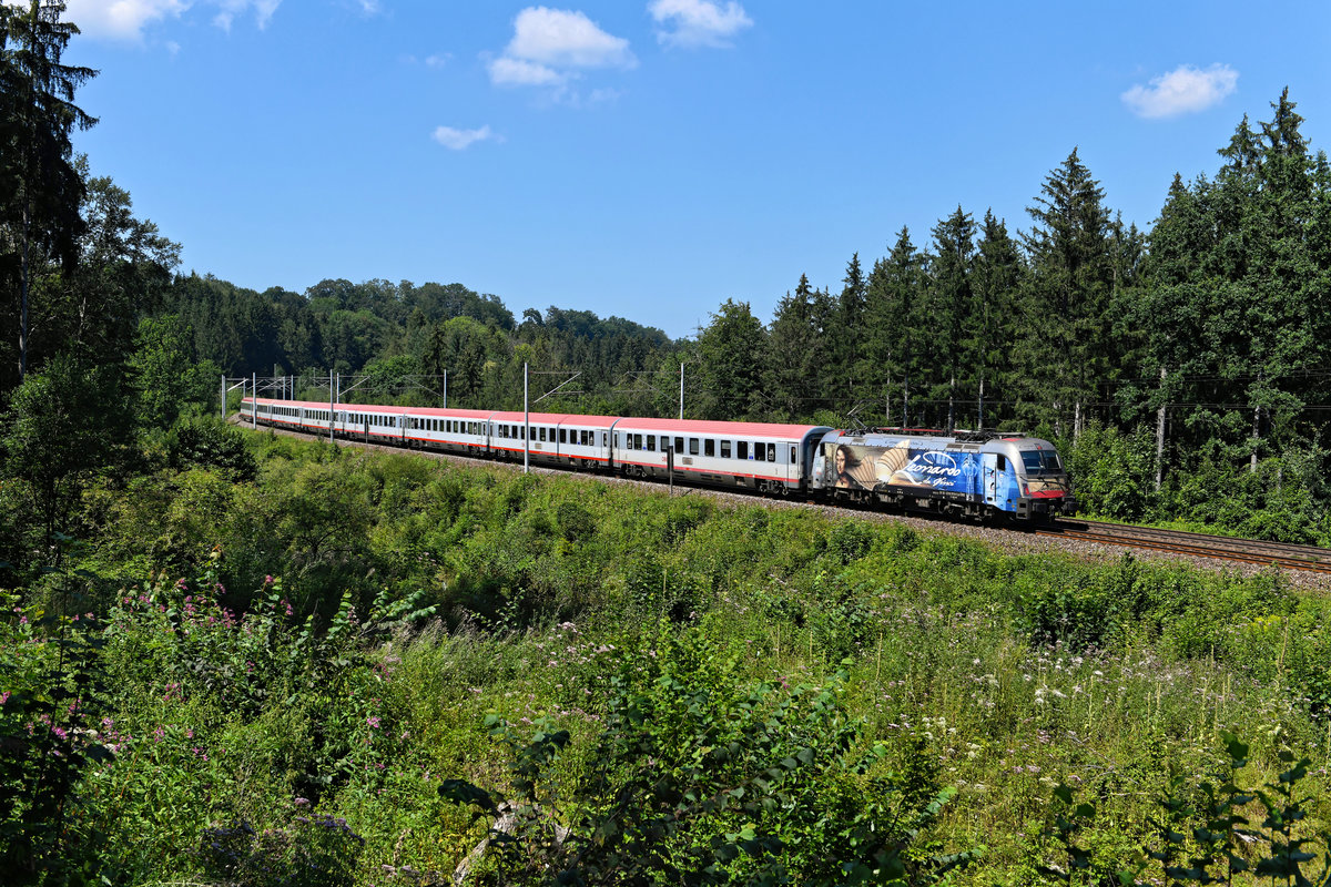 Am 07. August 2020 brachte die an das Universal-Genie Leonardo da Vinci erinnerende ÖBB 1216.019 den EC 89 nach Bologna Centrale. Im Waldstück zwischen Grafing und Aßling konnte ich die gelungene Werbelok dokumentieren. 