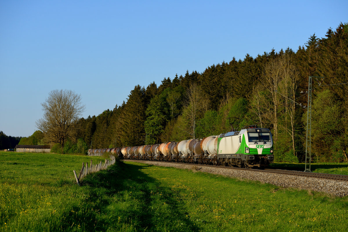 Am 08. Mai 2016 hatte sich die Laune des Bauern in Fellach wieder gebessert und er gestatte das Betreten seines Grundes. So konnte ich doch noch ein Wunschbild am Ende der Umleitungsaktion über das Mangfalltal realisieren. Im schönsten Abendlicht passierte die 193 814 von SETG mit ihrem DSG 47890 von Jesenice nach Schwerte meinen Standpunkt. Für den Weg von Rosenheim nach Holzkirchen benötigte der Zug aufgrund diverser Kreuzungsaufenthalte übrigens fast zwei Stunden.