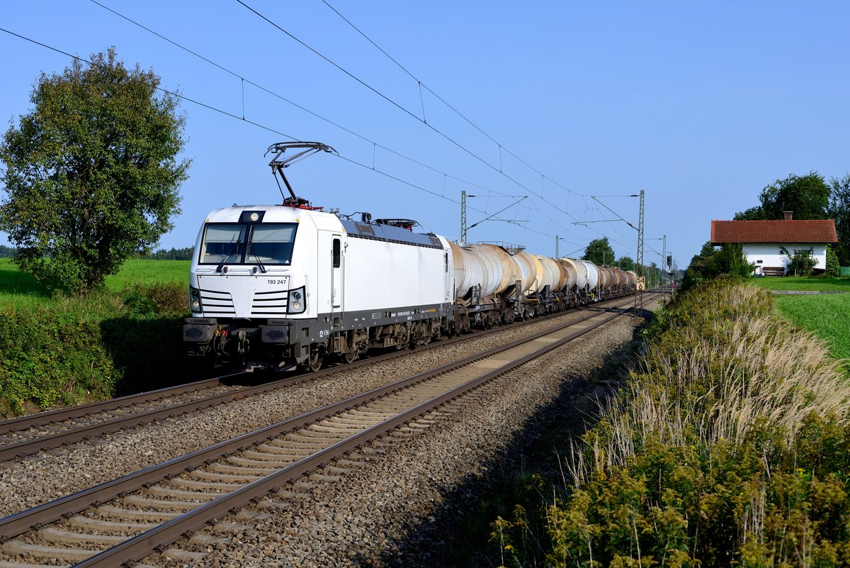 Am 08. September 2017 konnte ich auch den komplett in weiß gehaltenen ELL Vectron 193 247 am ehemaligen Block Hilperting aufnehmen. Dieser ist aktuell an die SETG vermietet. An diesem Tag brachte er einen Ganzzug - bestehend aus leeren Kesselwagen für den Transport von Kreideschlamm - von Plattling nach Jesenice in Slowenien.