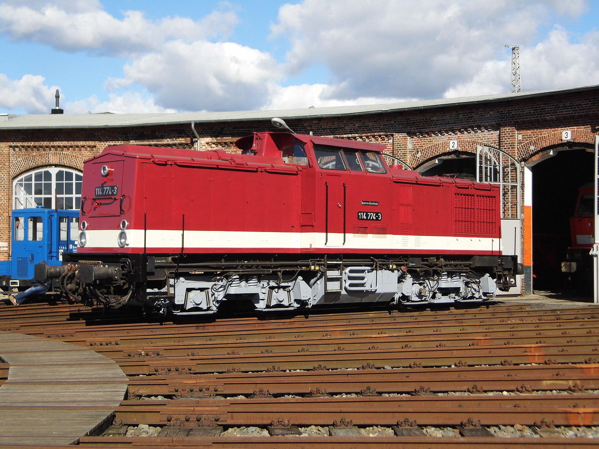 Am 08.10.2017 stand die 114 774-3 von der MEG Leihgabe an DLFS - Dampflokfreunde Salzwedel e. V., Salzwedel  204 774-4  (ausgestellt im Historischen Lokschuppen Wittenberge) beim Herbstfest in Wittenberge . 