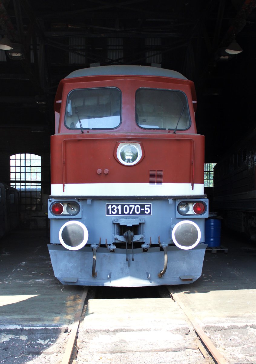 Am 10.06.17 war wieder Tag der offenen Tür bei der Loksammlung Bernd Falz in Falkenberg/Elster. Hier ist die 131 070-5 zu sehen.