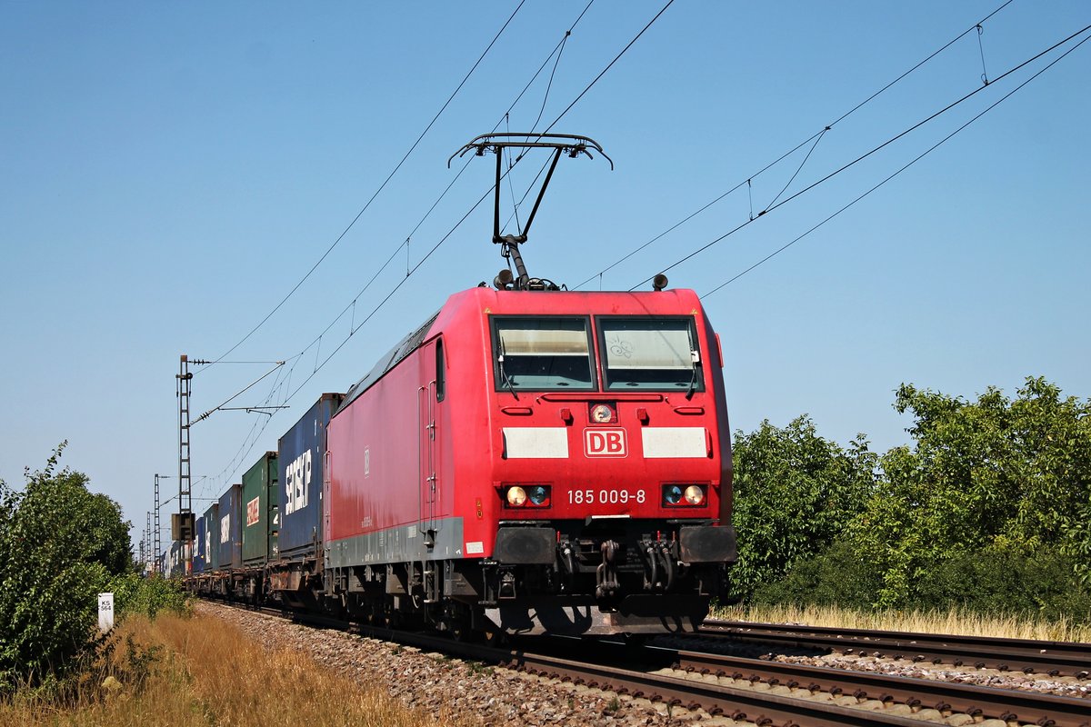 Am 10.07.2015 bespannte 185 009-8 einen Containerzug, den sie an die Schweizer Grenze brachte. Hier ist sie bei Hügelheim auf der KBS 703 in Richtung Schweiz unterwegs.