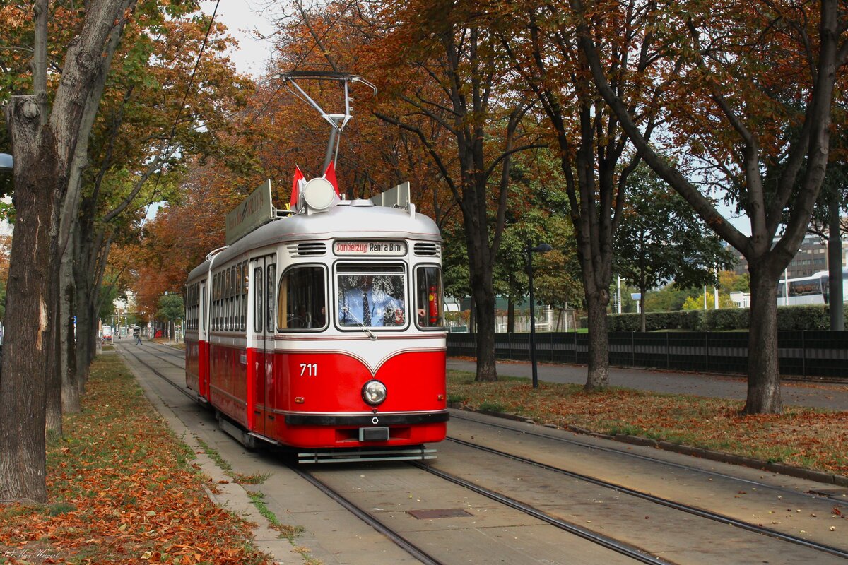 Am 10.10.2026 fuhr der Typ F mit der Nummer 711 f�r eine private Gruppe durch das herbstliche Wien hier in der bunten Allee am Franz-Josef-Kai.
Der Gelenktriebwagen wurde 1963 von SGP in Simmering gebaut als Weiterentwicklung der zweiachsigen Type L4.
