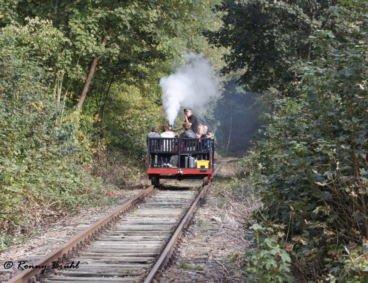 Am 11. & 12.10.2014 fand auf der ehemaligen Bahnstrecke Wittgensdorf - Limbach-Oberfrohna, zwischen Kändler und dem Bahnhof Oberfrohna, Sonderfahrten mit der Damdraisine statt.

Die Fahrten waren ausserordentlich gut besucht und so konnte ich die in 30 min. Takt verkehrende Draisine, hier zwischen dem Bahnhof Limbach-Oberfrohna und dem Kellerwiesenviadukt kurz vor dem Enbahnhof Oberfrohna Fotografieren.