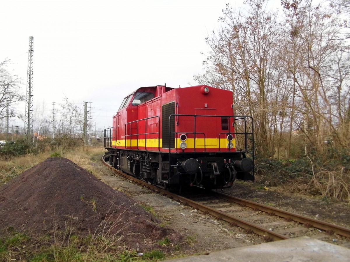 Am 11.03.2015 war die 203 117-7 von ALS in Stendal abgestellt .