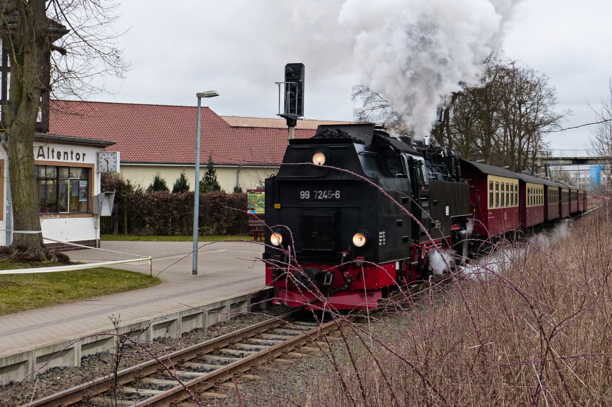 Am 12.03.2016 nahm ich den Brockenzug in Nordhausen-Altentor durch den Hagebuttenstrauch auf.