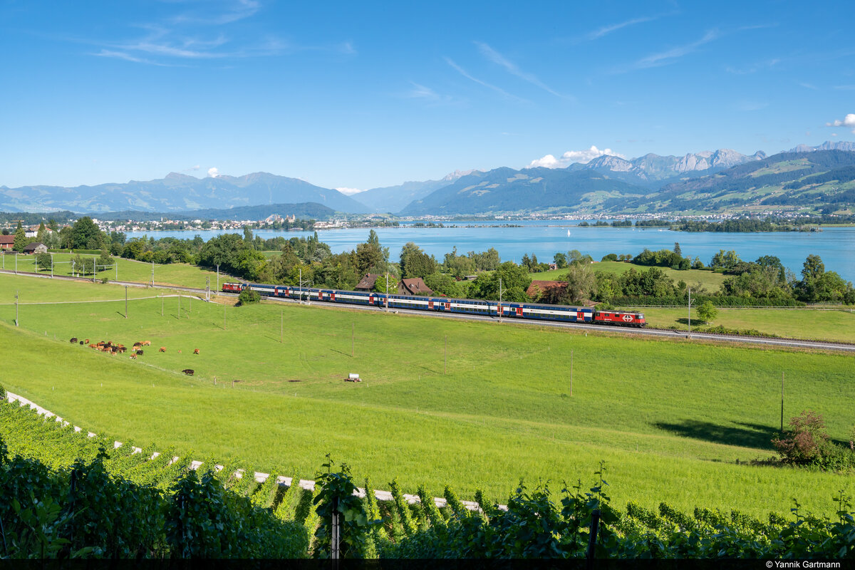 Am 12.07.2022 sind SBB Re 420 203 und Re 420 211 unterwegs als Zusatz-S-Bahn und konnten hier bei Feldbach am Zürichsee aufgenommen werden