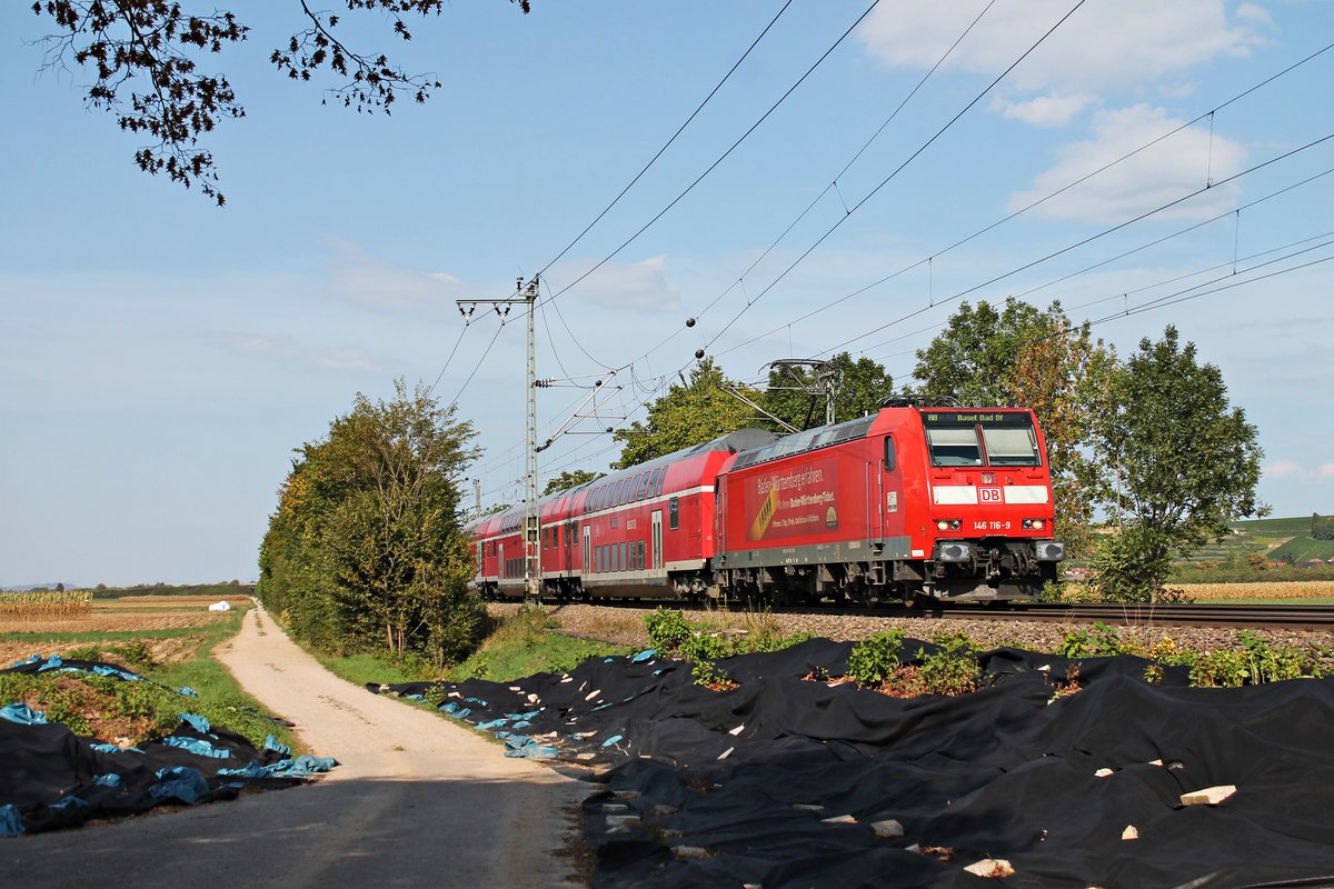 Am 12.09.2018 bespannte die Freiburger 146 116-9  Landkreis Lörrach  eine RB (Offenburg - Basel Bad Bf) als sie nördlich von Müllheim (Baden), wo sie ihren näcjhsten Zwischenhalt einlegen wird, über die Rheintalbahn fuhr.
