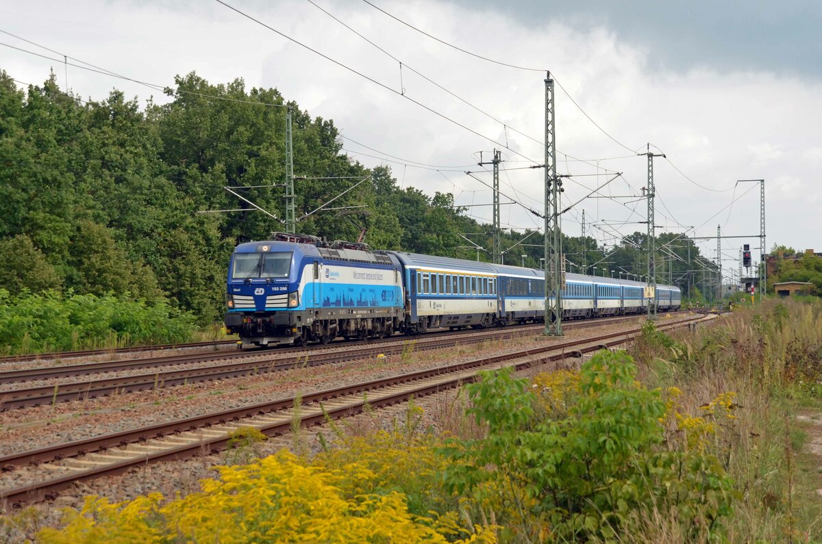 Am 12.09.21 kam es wegen einer Sperrung auf dem südlichen BAR zur Umleitung der EC zwischen Berlin und Dresden über Leipzig. Hier zieht 193 296 den EC 379 durch Radis Richtung Leipzig. 