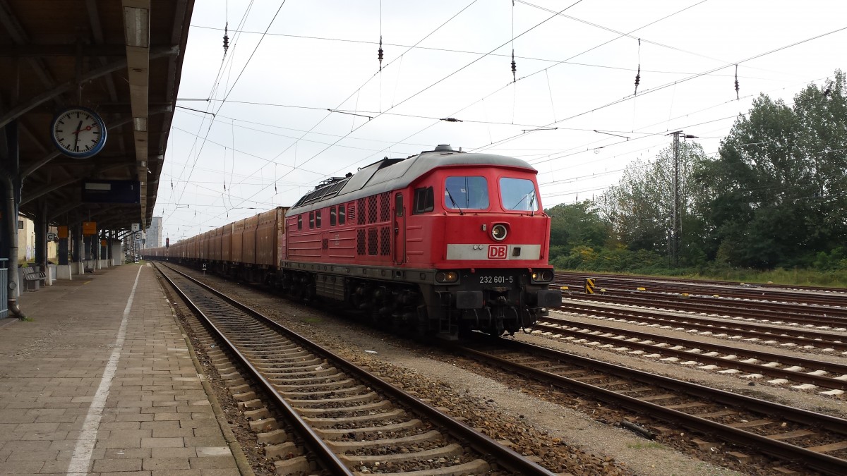 Am 12.9.2015 stand diese 232 am Hackschnitzelzug im Bad Kleiner Bahnhof 