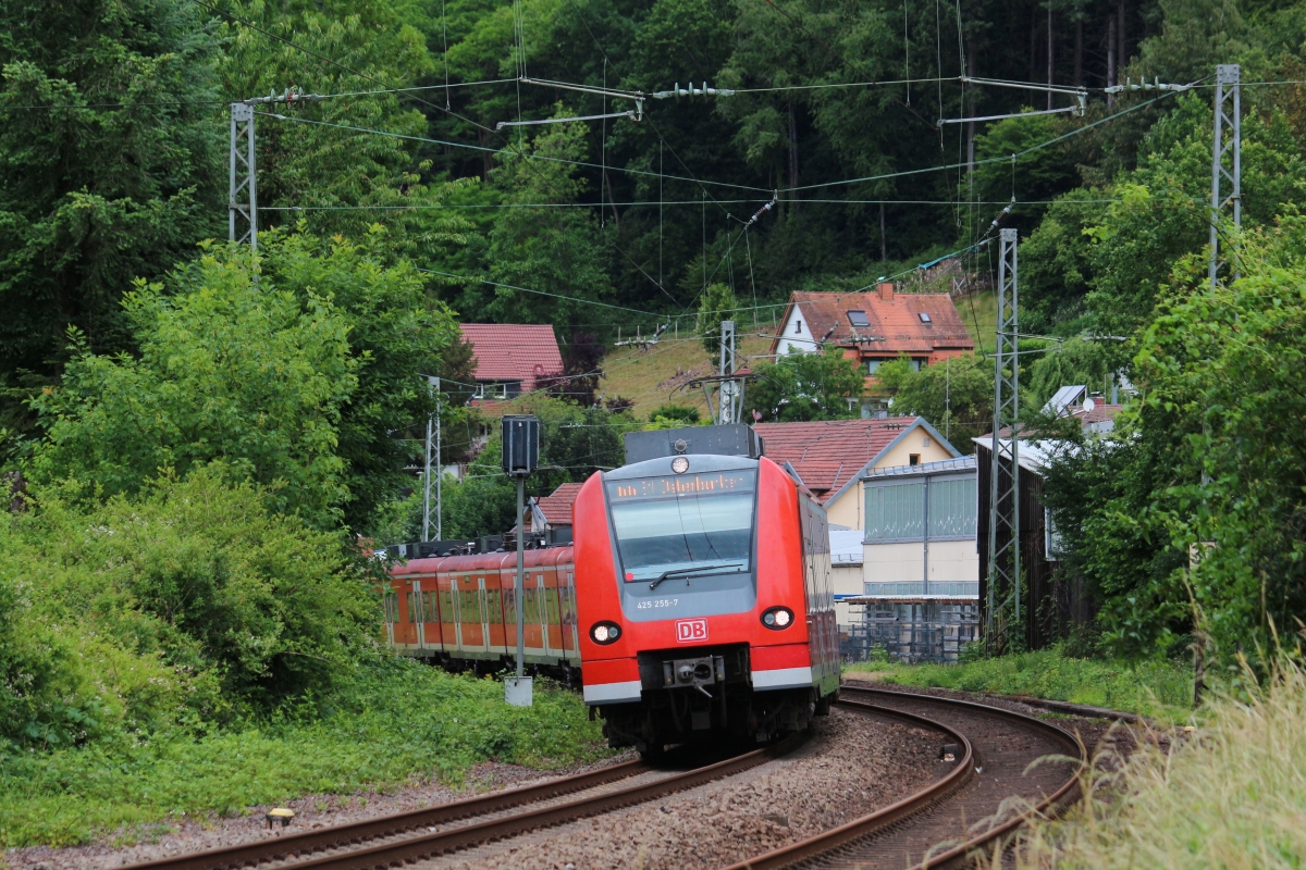 Am 13.06.2020 legt sich eine Doppeltraktion BR 425 bei Zwingenberg in die Kurve. Ziel der Fahrt ist Osterburken.
