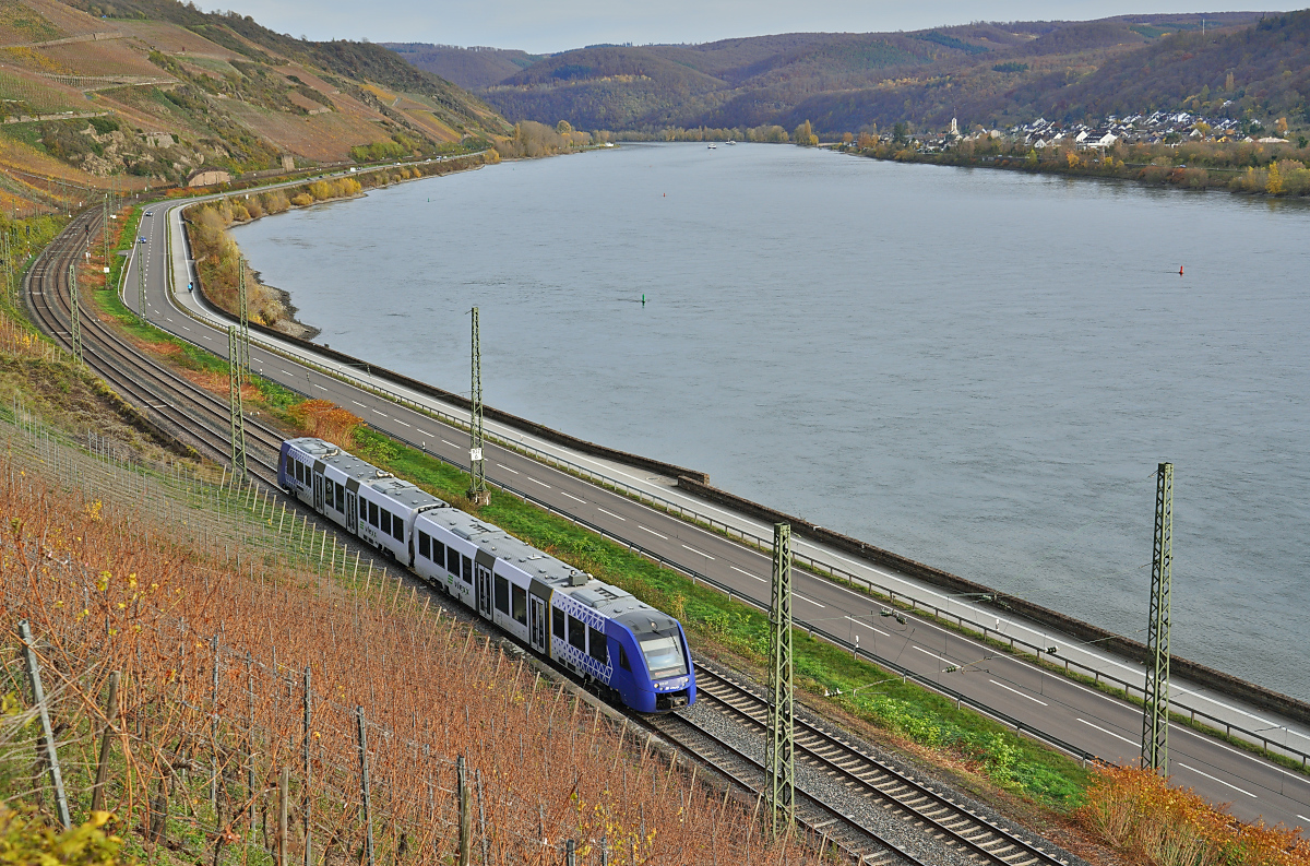Am 13.11.2025 fährt ein unbekannter Vlexx-622 am Bopparder Hamm vorbei in Richtung Süden, im Hintergrund auf der anderen Rheinseite die Ortschaft Osterspay