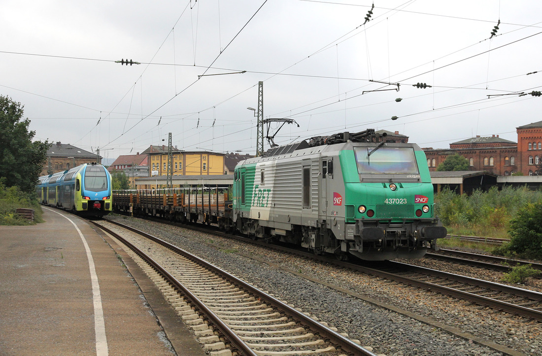 Am 14. September 2017 begegnete mir 437023 im Bahnhof Minden (Westfalen).