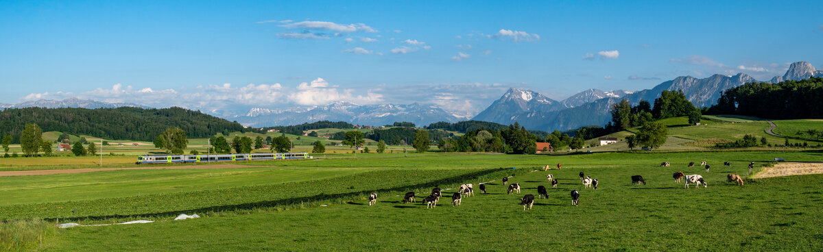 Am 14.06.2021 ist BLS RBDe 565 728 unterwegs als S4 15475 von Thun nach Langnau i.E. und konnte hier kurz vor Thurnen bei Lohnstorf aufgenommen werden.