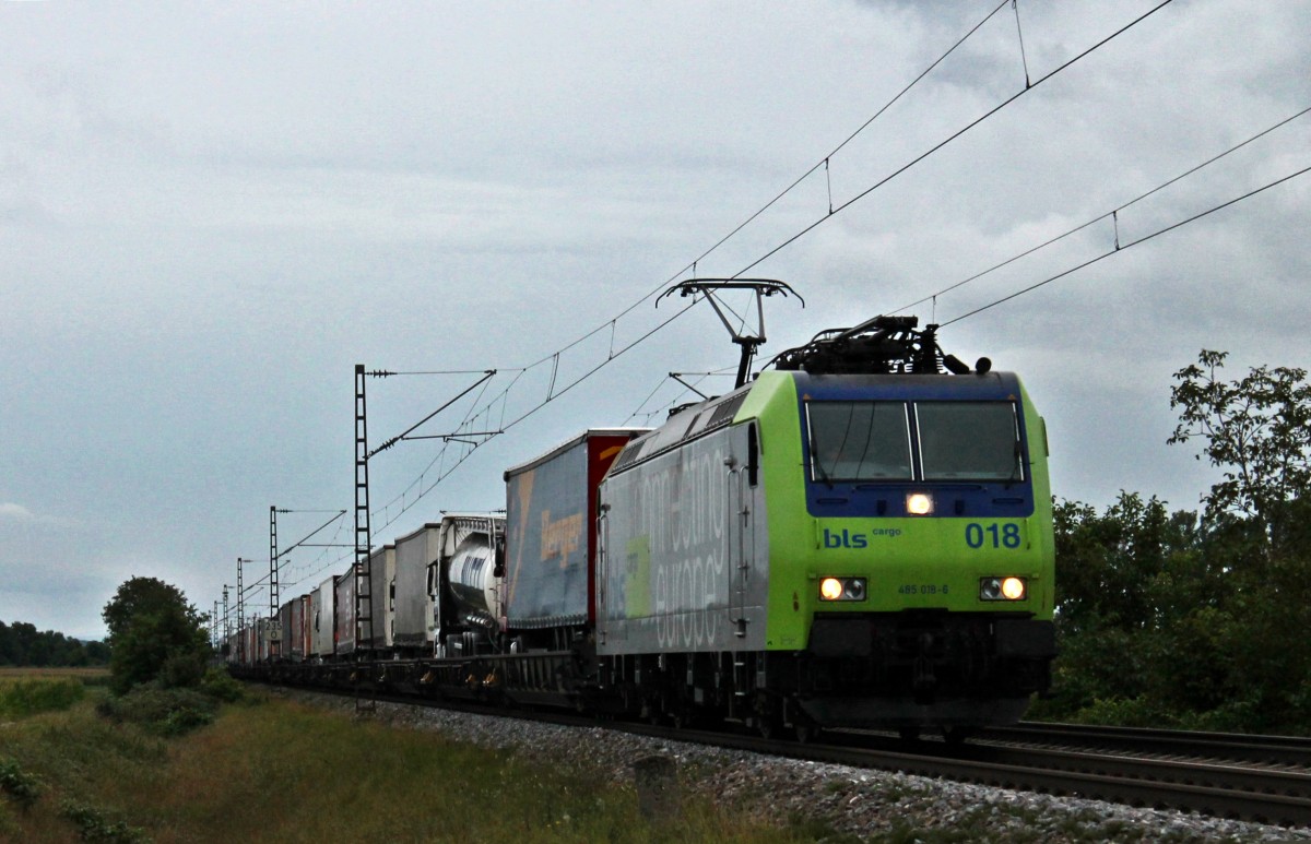 Am 14.09.2013 bespannte die BLS Cargo Re 485 018-6 eine RoLa aus Novara von Domodossola zjm Endbahnhof Freiburg (Brsg) Gbf, als sie am Winzerort Hügelheim vorbei fuhr.